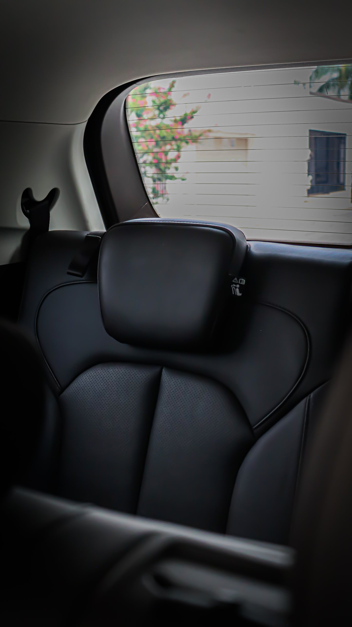 ASIENTOS MG RX8 ELEGANCE 2022