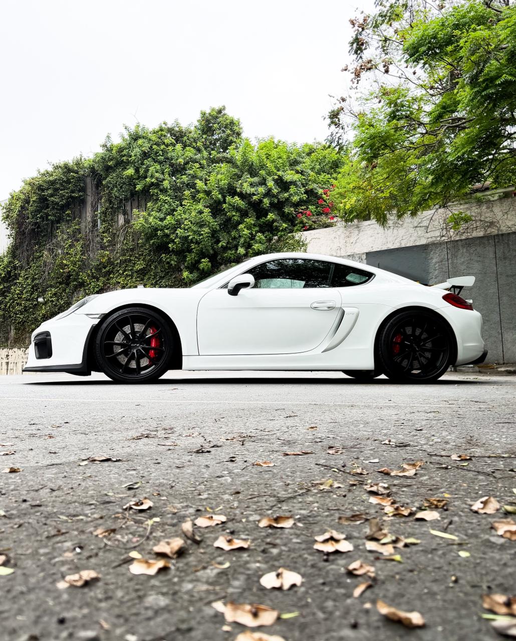 Porsche Cayman GT4 2016