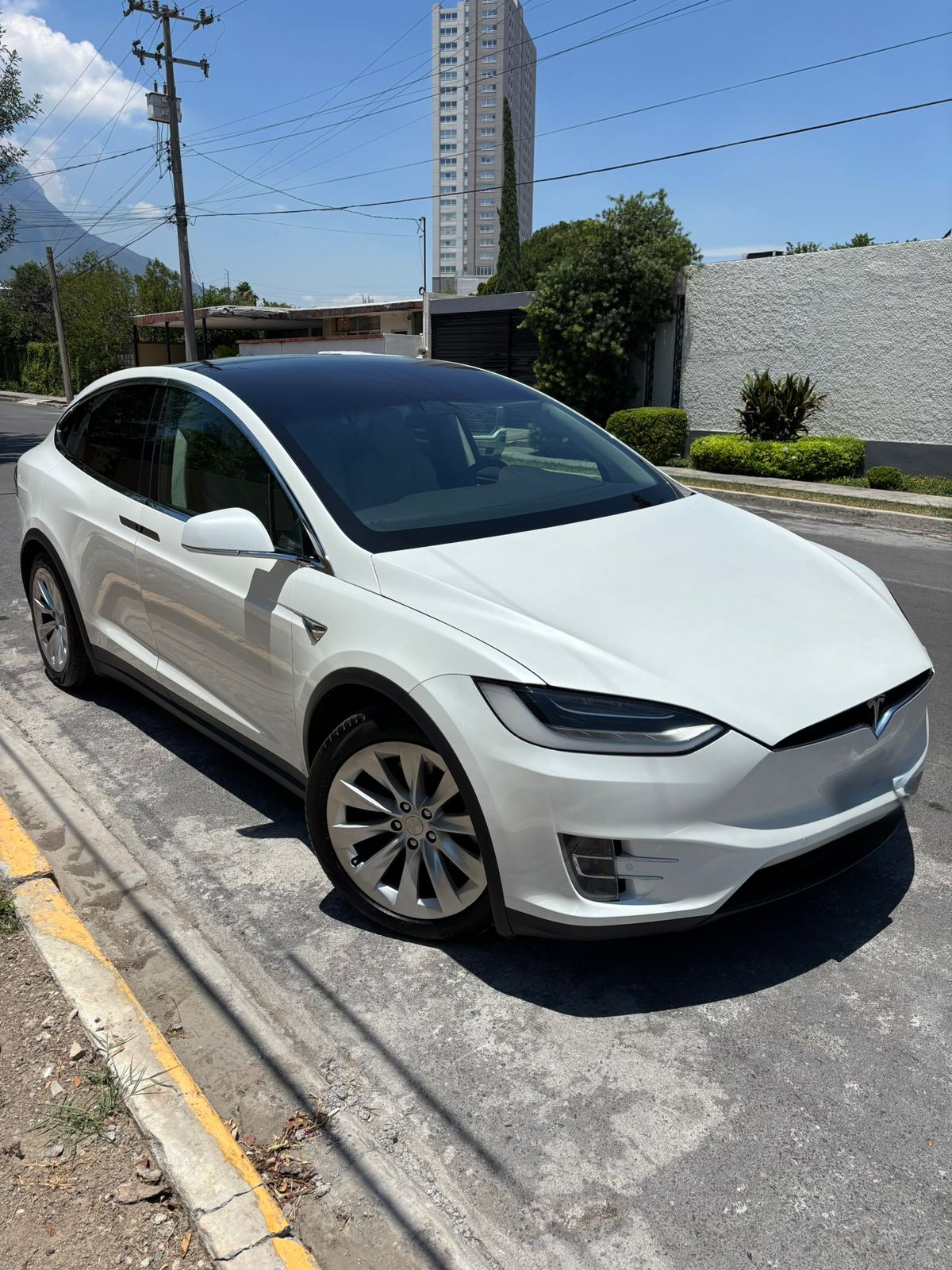 TESLA MDDEL X 100D 2017