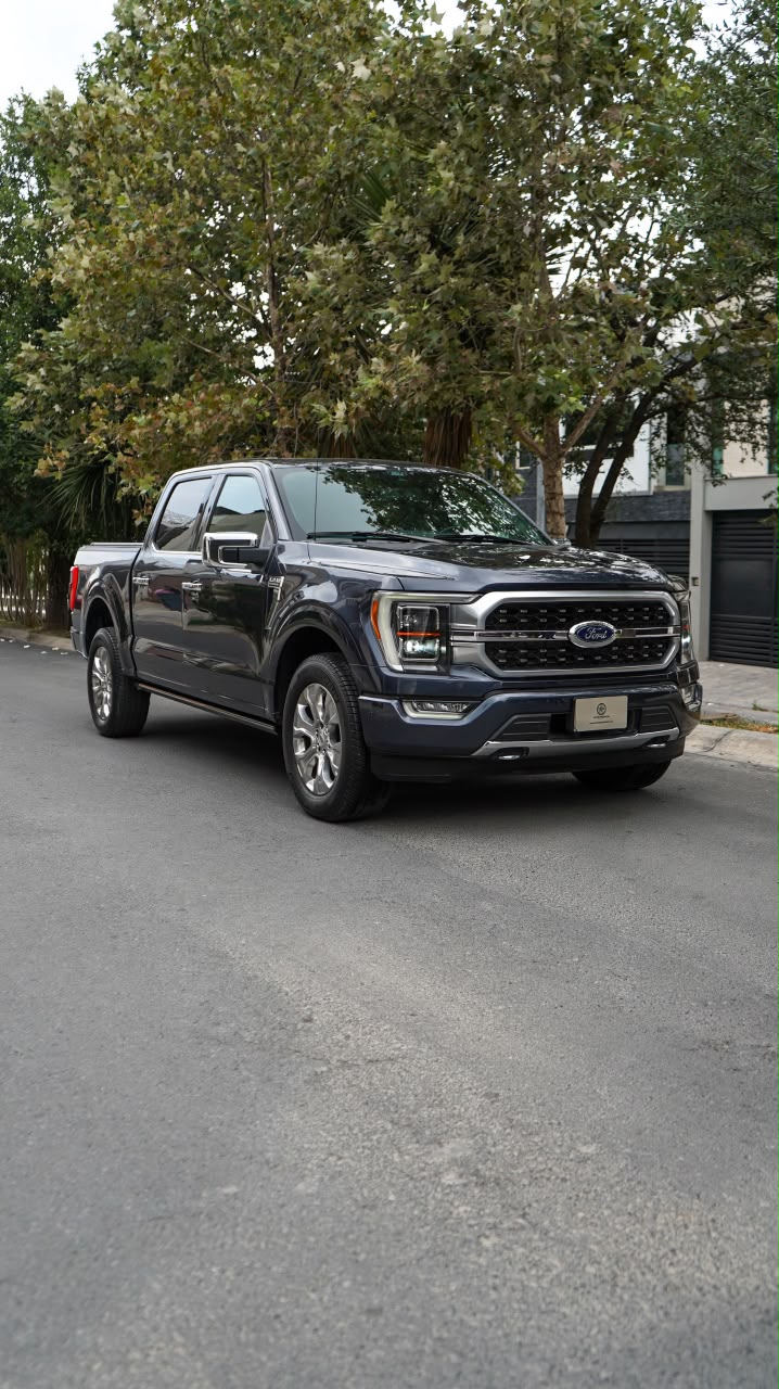 Ford Lobo Platinum Doble Cabina 4x4 2021