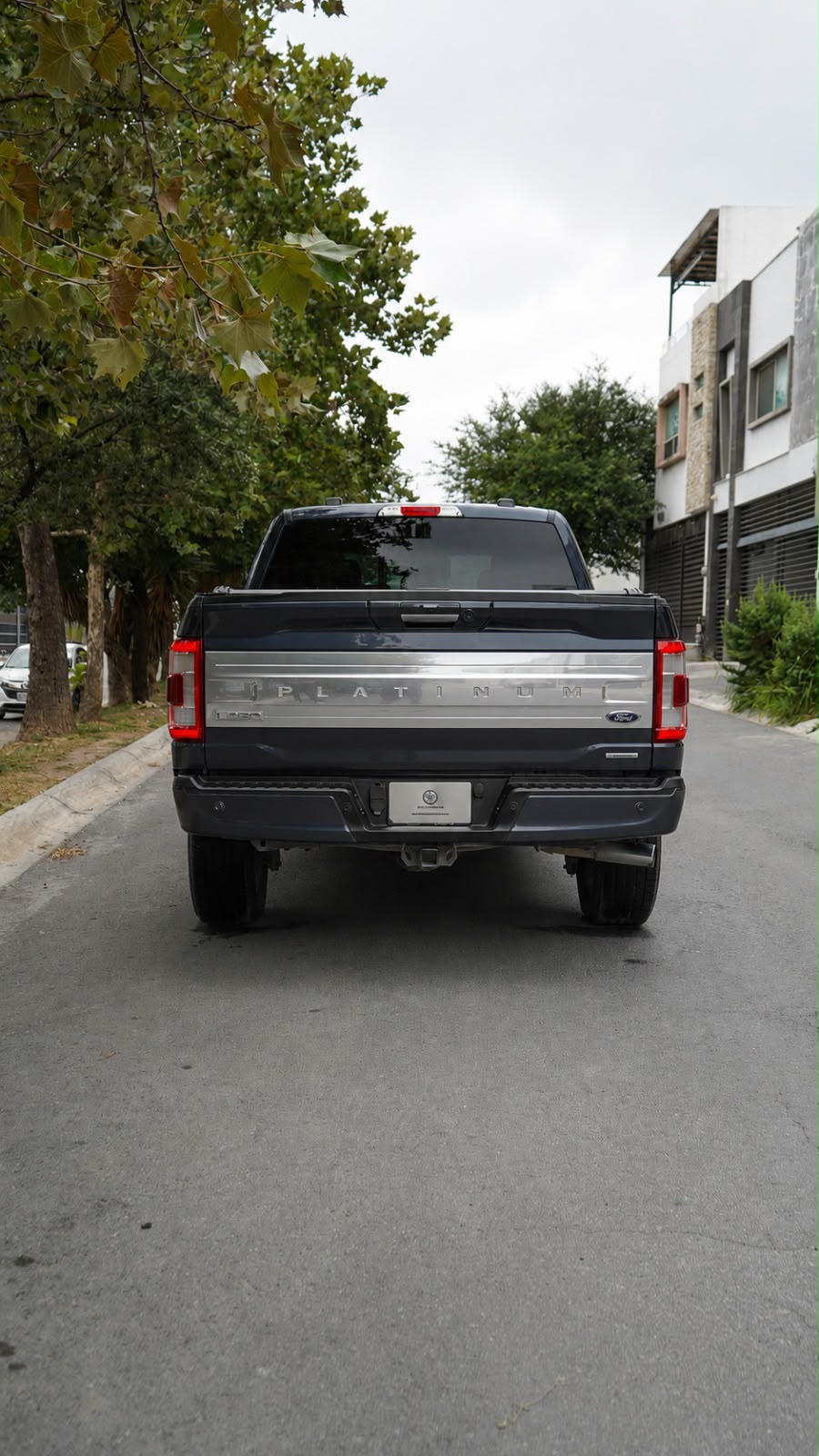 Ford Lobo Platinum Doble Cabina 4x4 2021