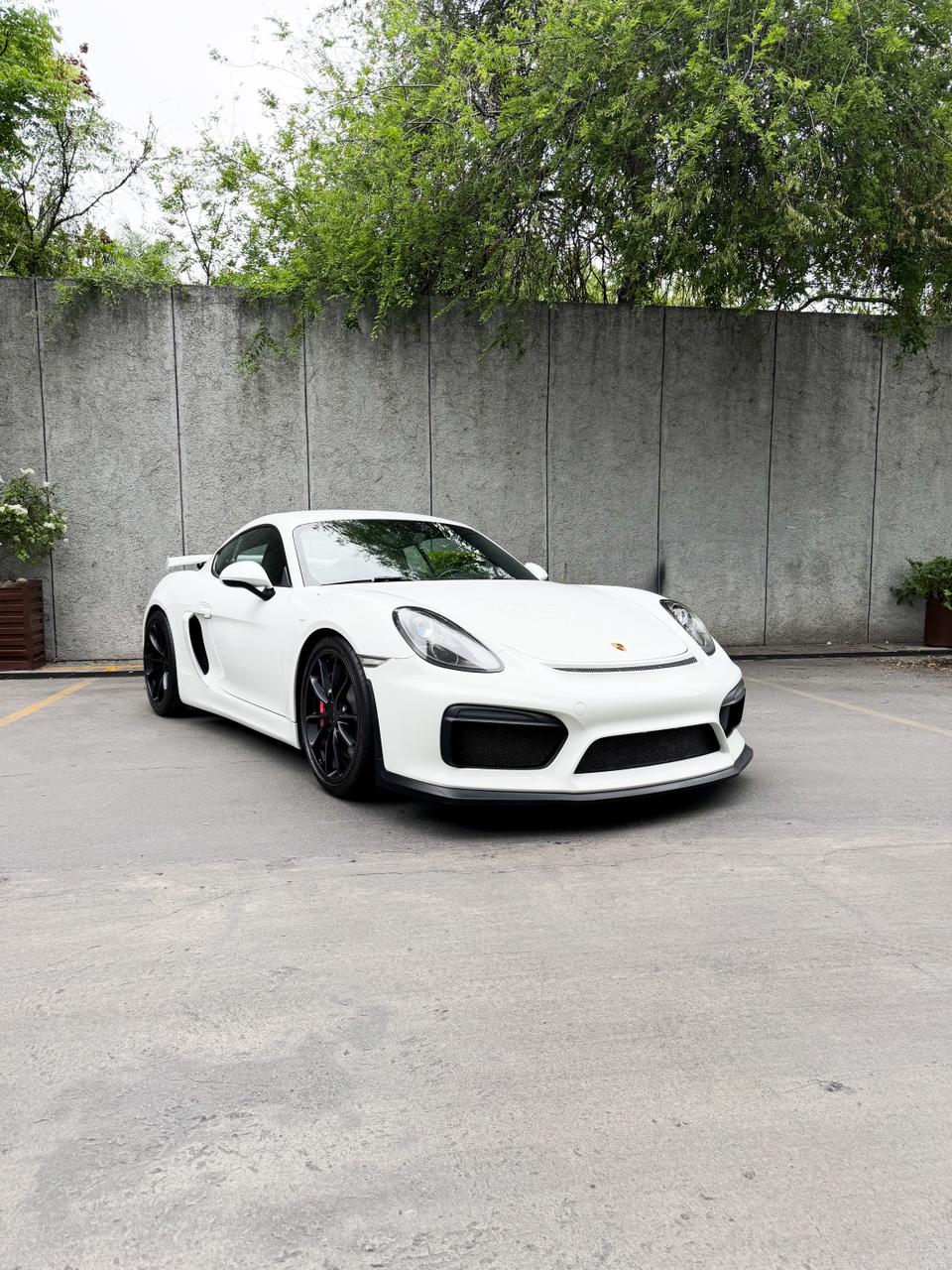 Porsche Cayman GT4 2016