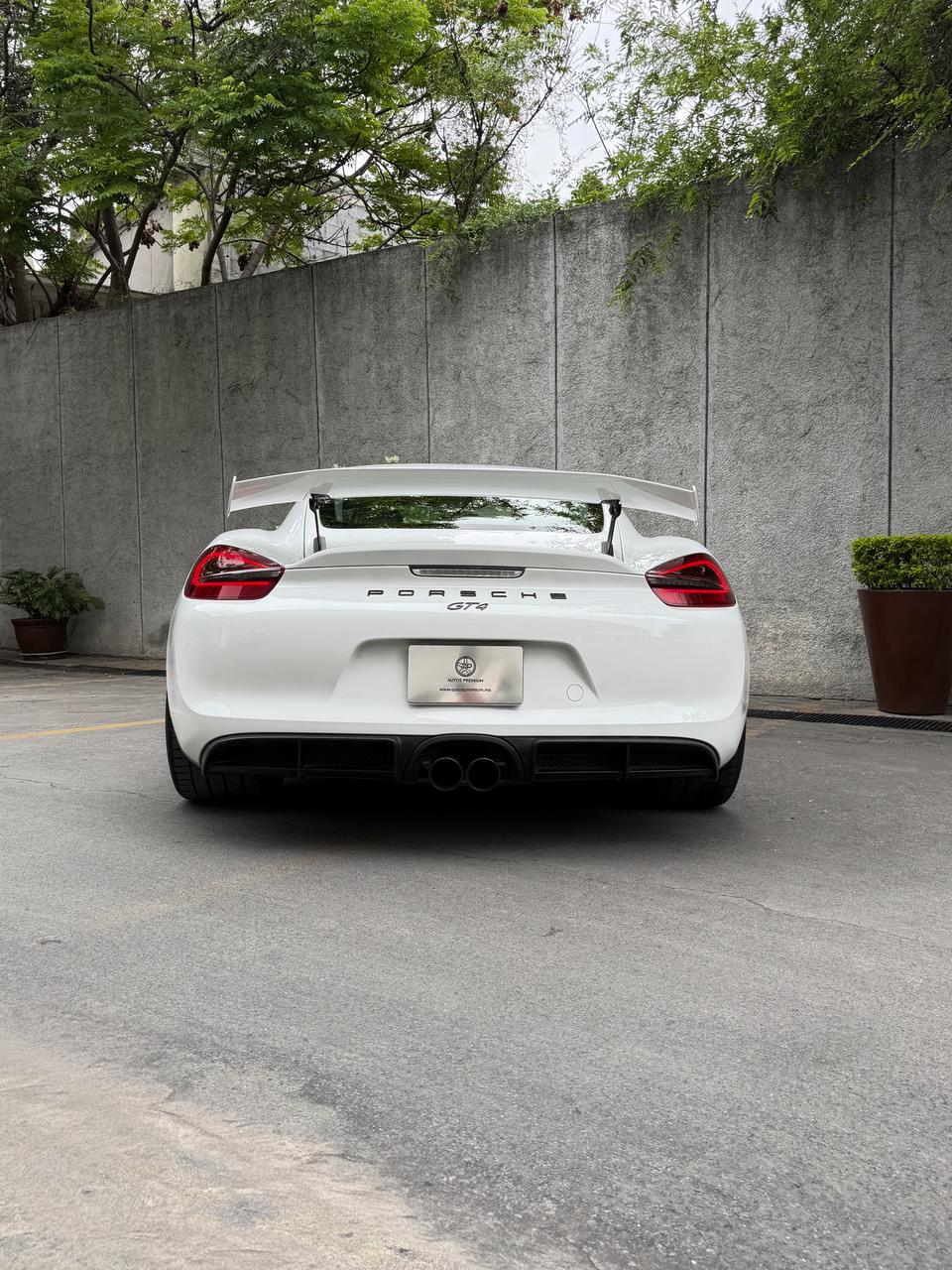 Porsche Cayman GT4 2016