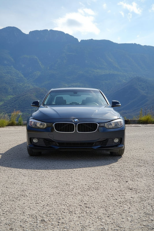 BMW Serie 320i 2015