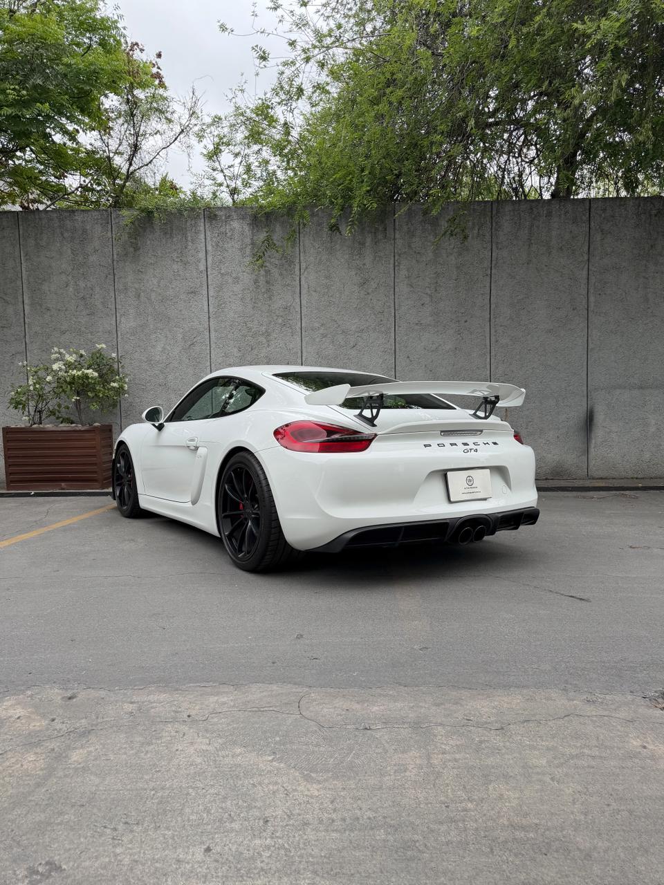 Porsche Cayman GT4 2016
