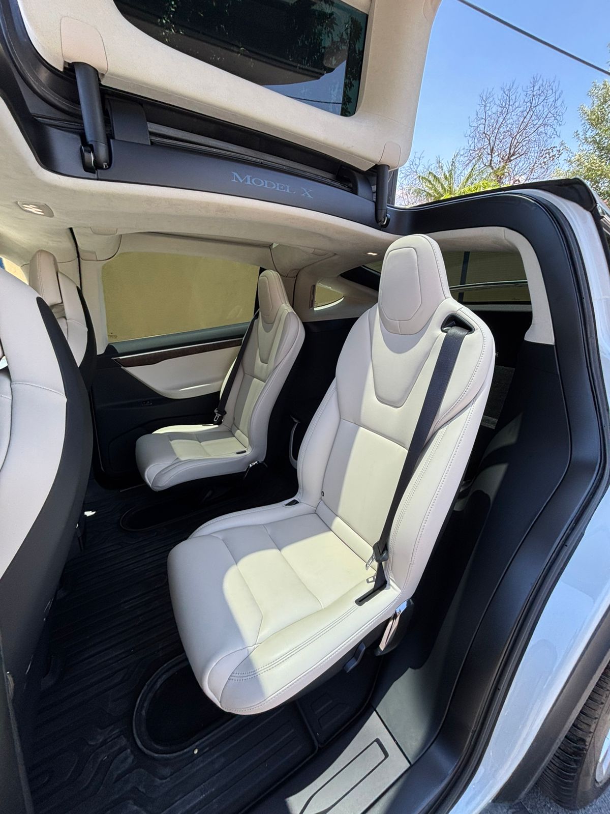 TESLA MDDEL X 100D 2017