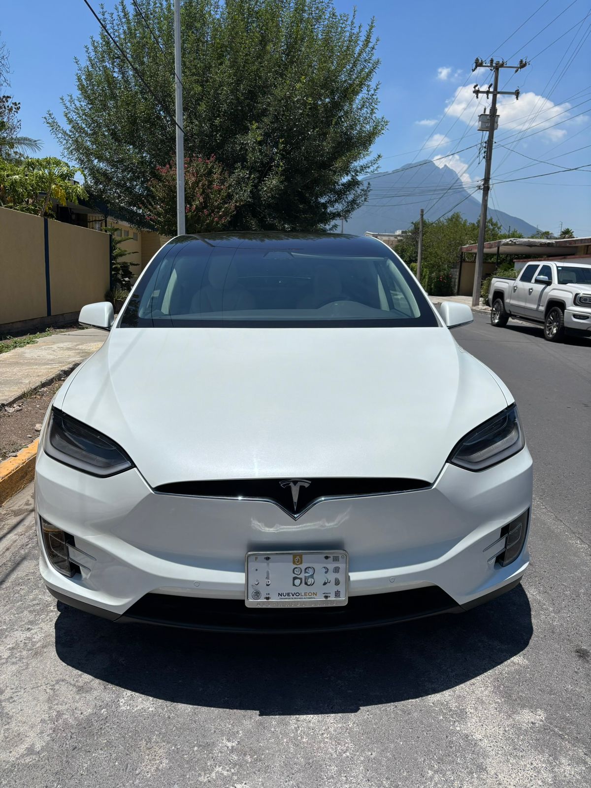 TESLA MDDEL X 100D 2017