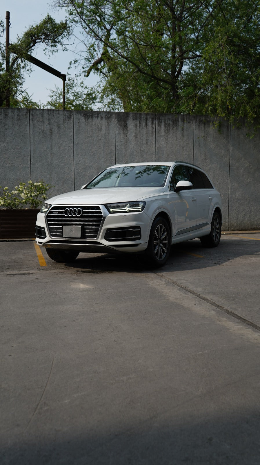 Audi Q7 Elite 2019
