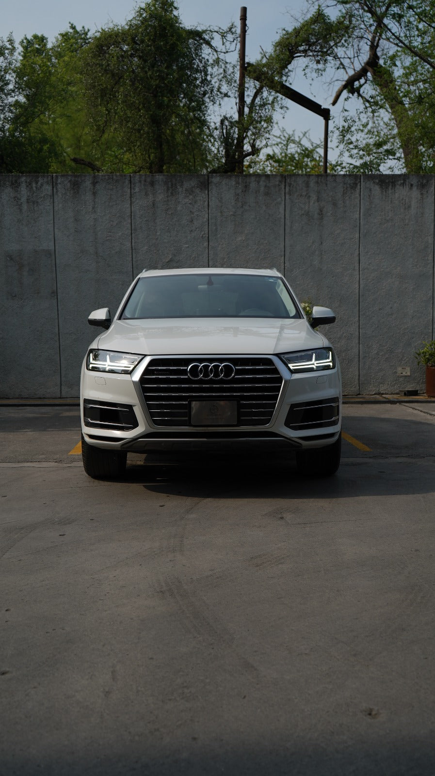 Audi Q7 Elite 2019