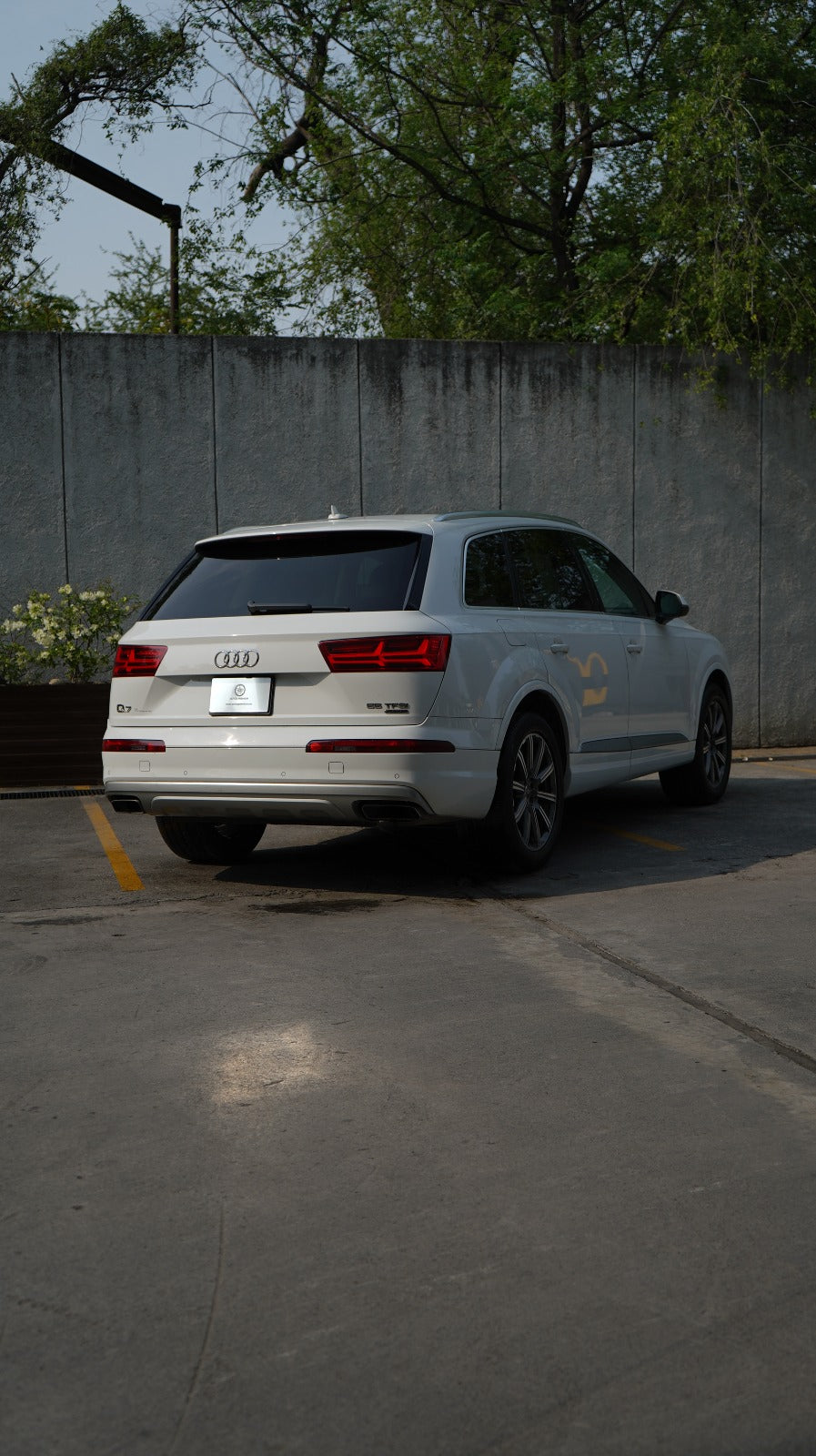 Audi Q7 Elite 2019