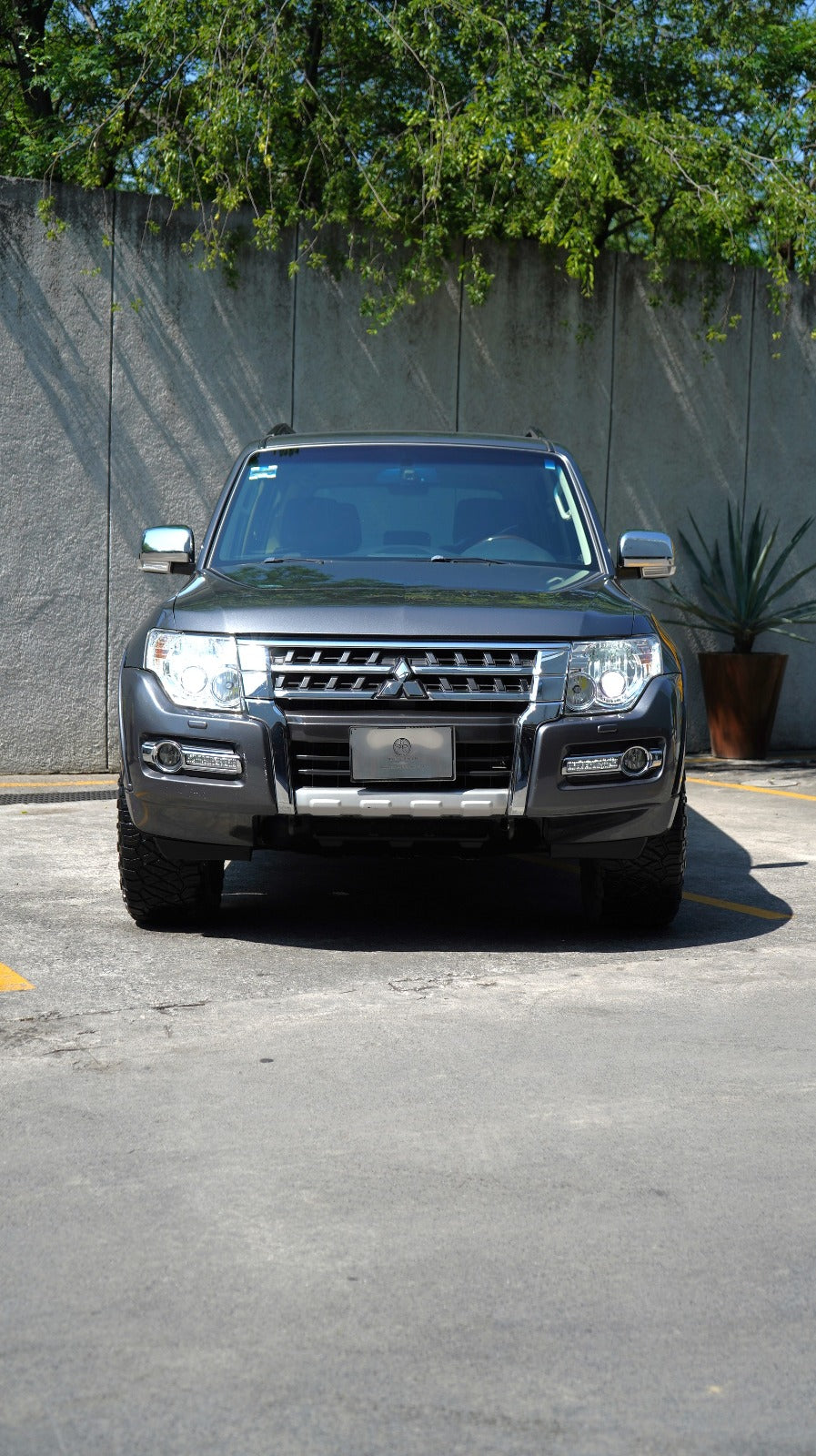 Montero Limited 2016