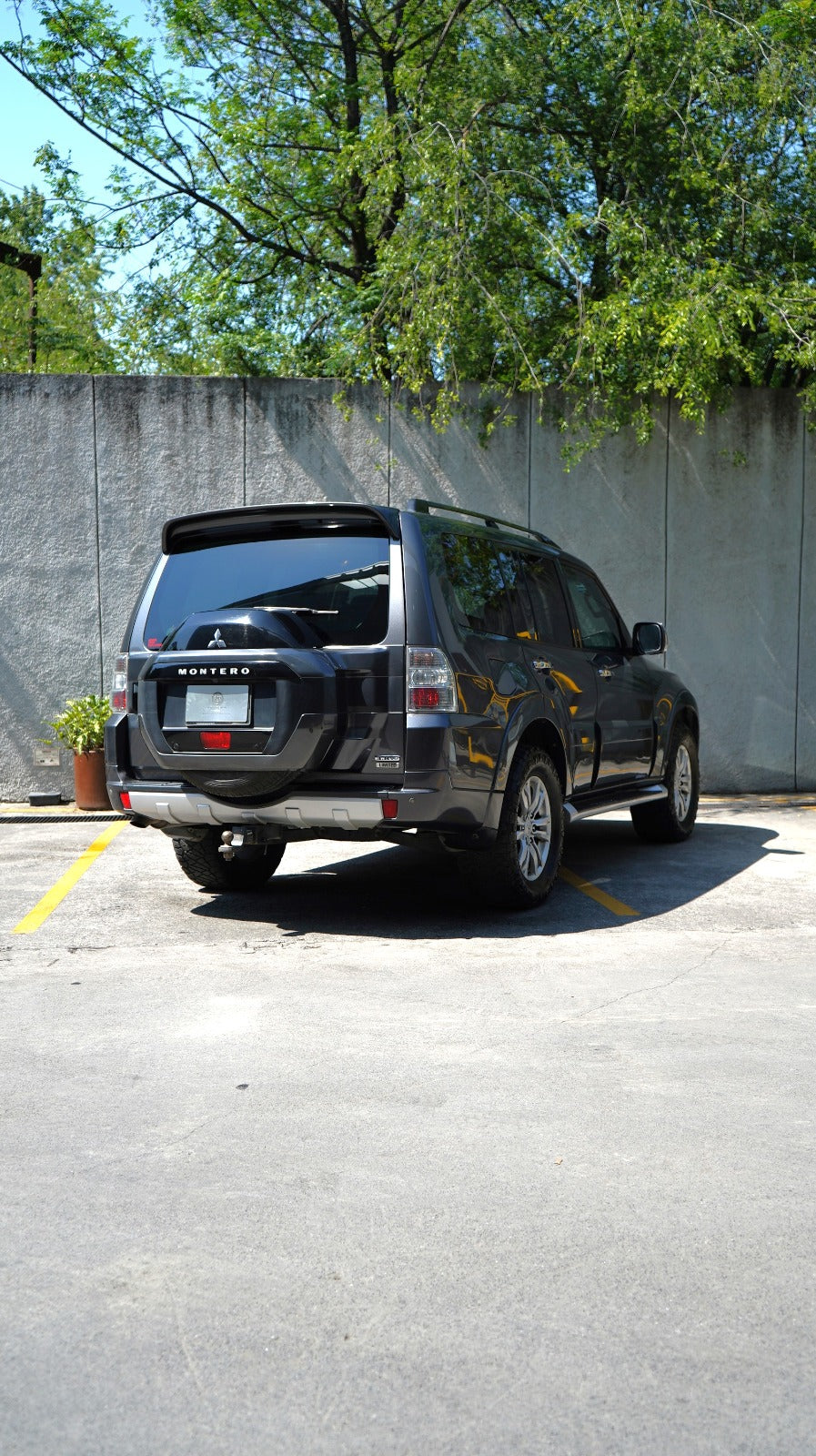 Montero Limited 2016