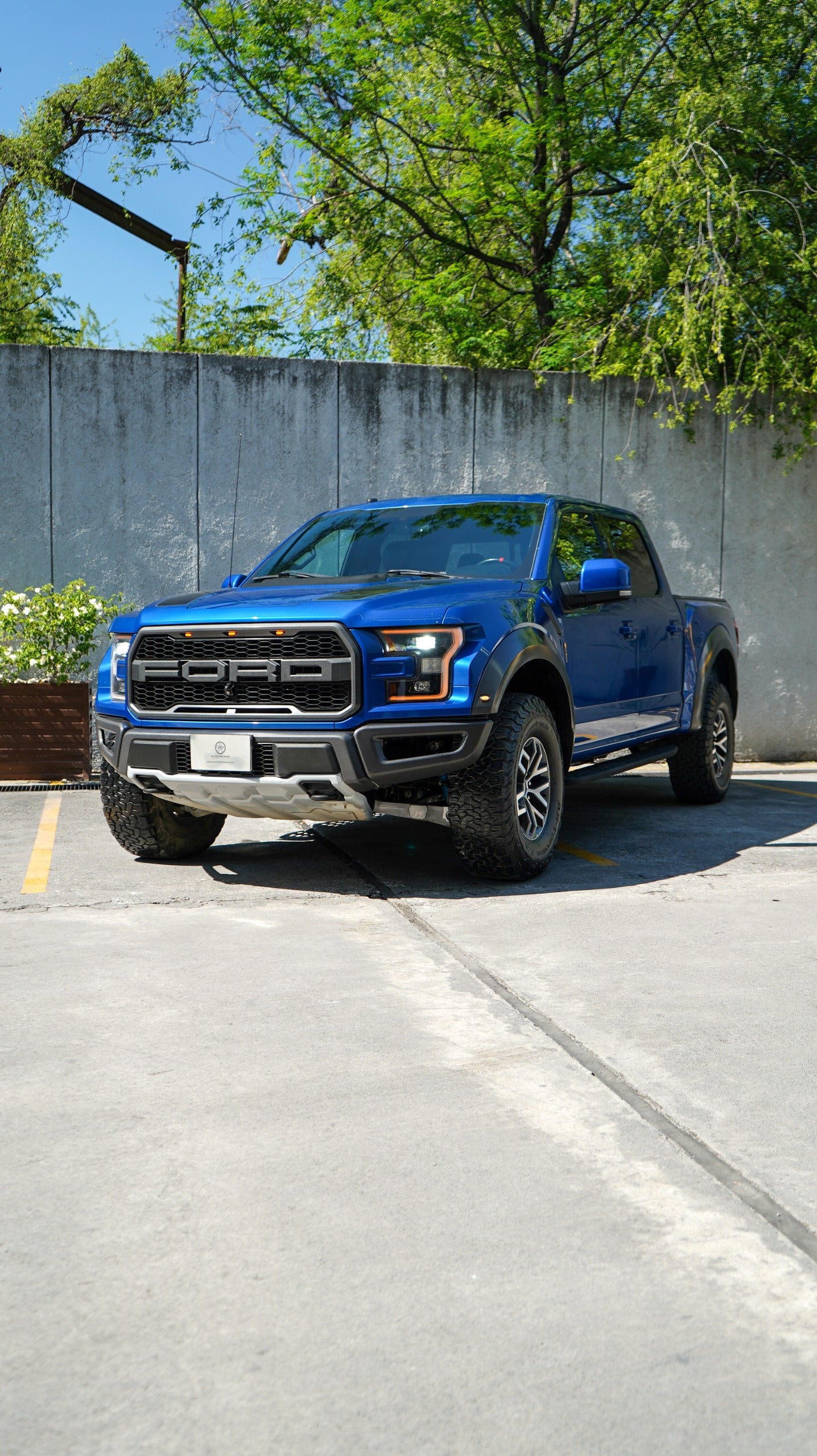 Ford Lobo Raptor 2018