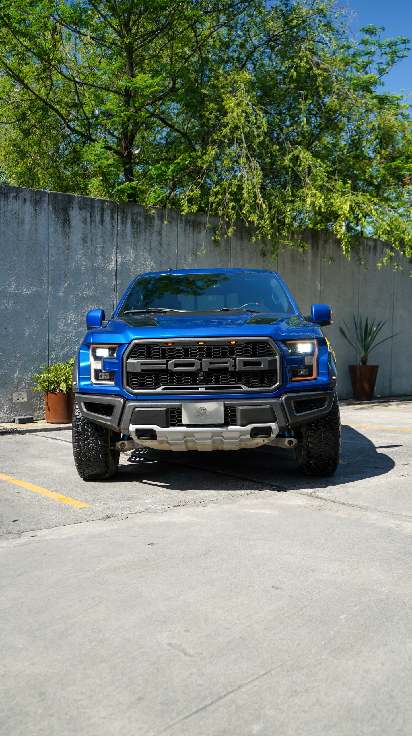 Ford Lobo Raptor 2018
