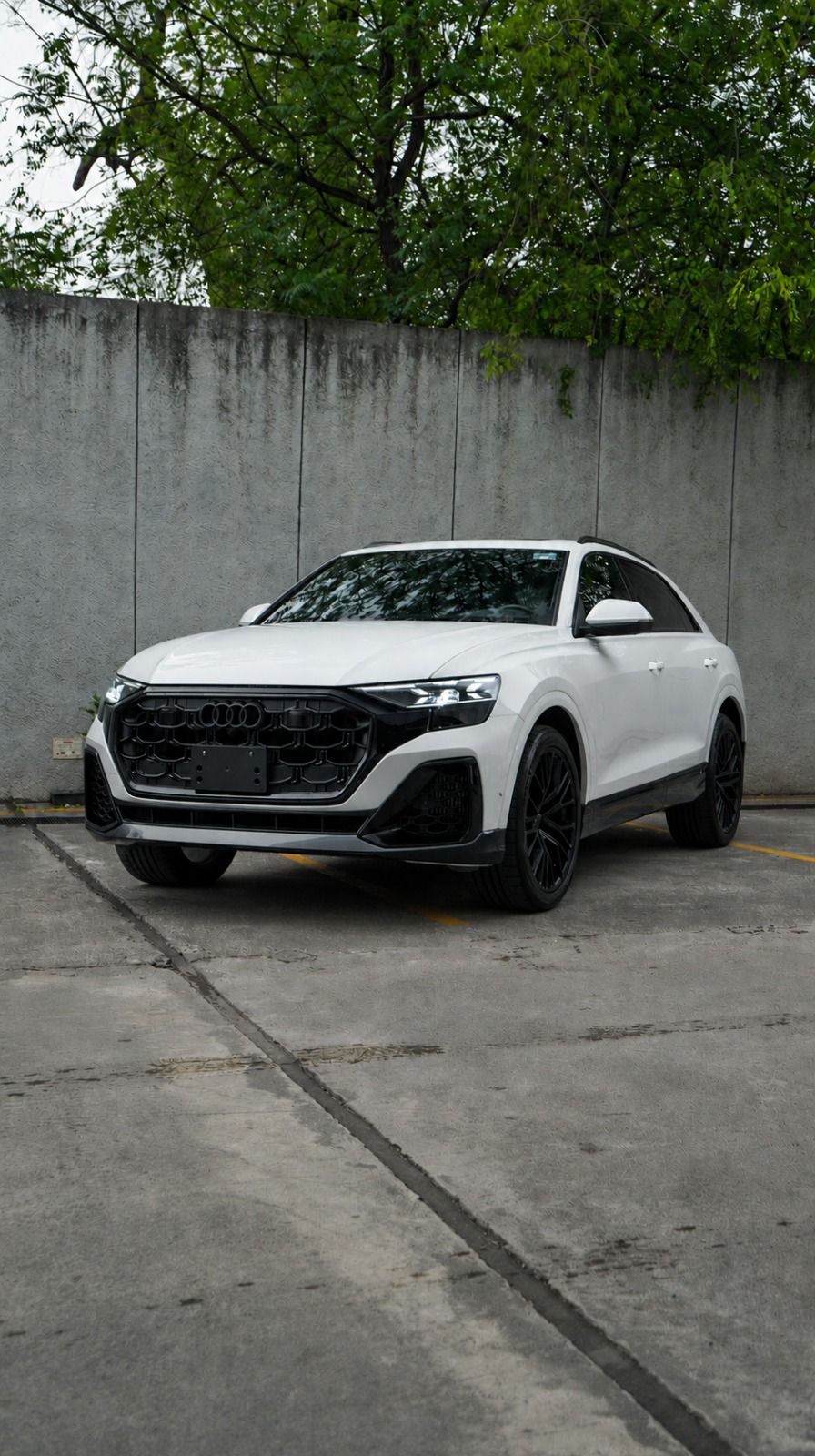 Audi Q8 S line 2025