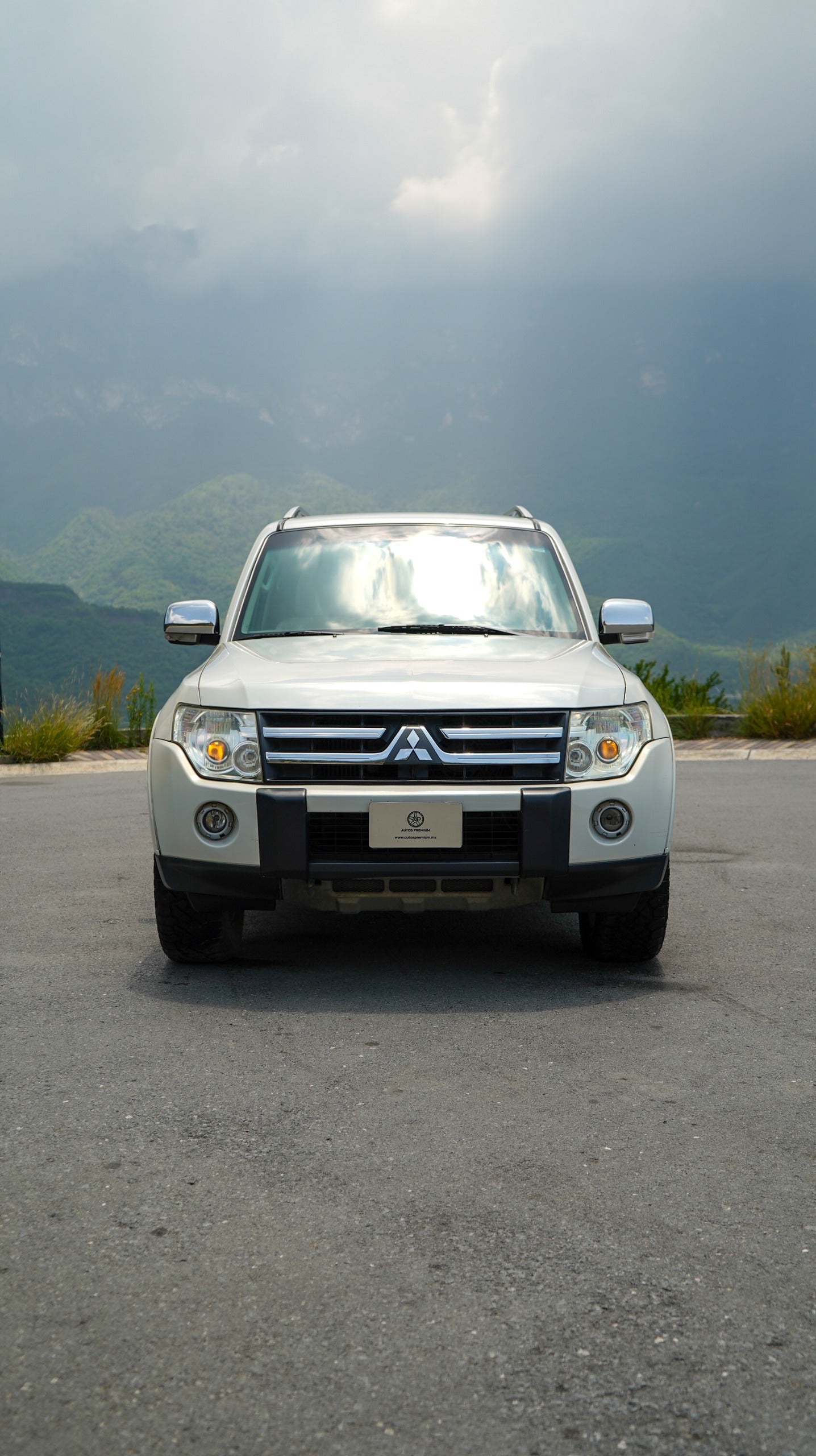 Mitsubishi Montero Limited 4x4 2010