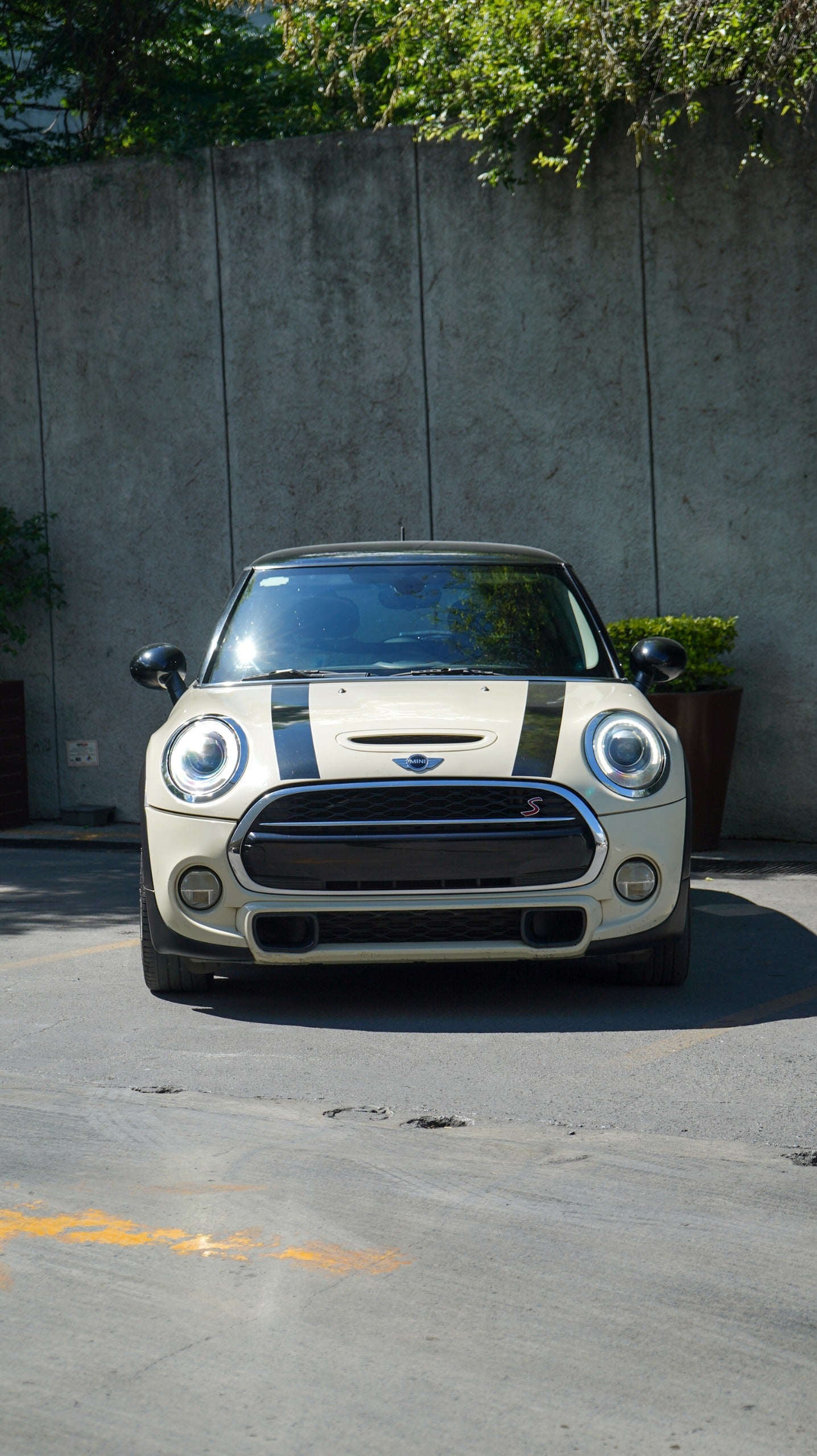 MINI Cooper S Salt 2016