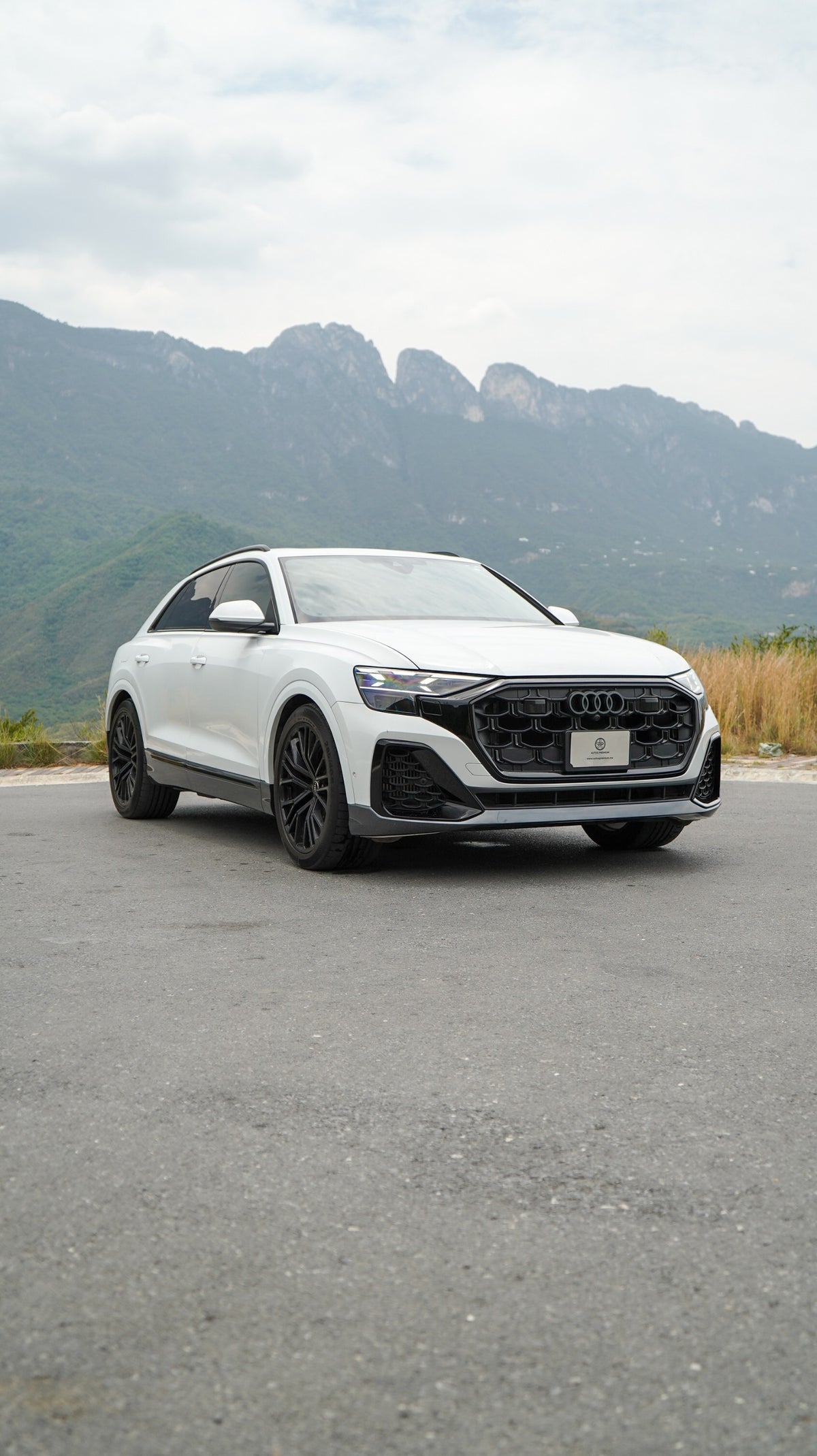 Audi Q8 S line 2025