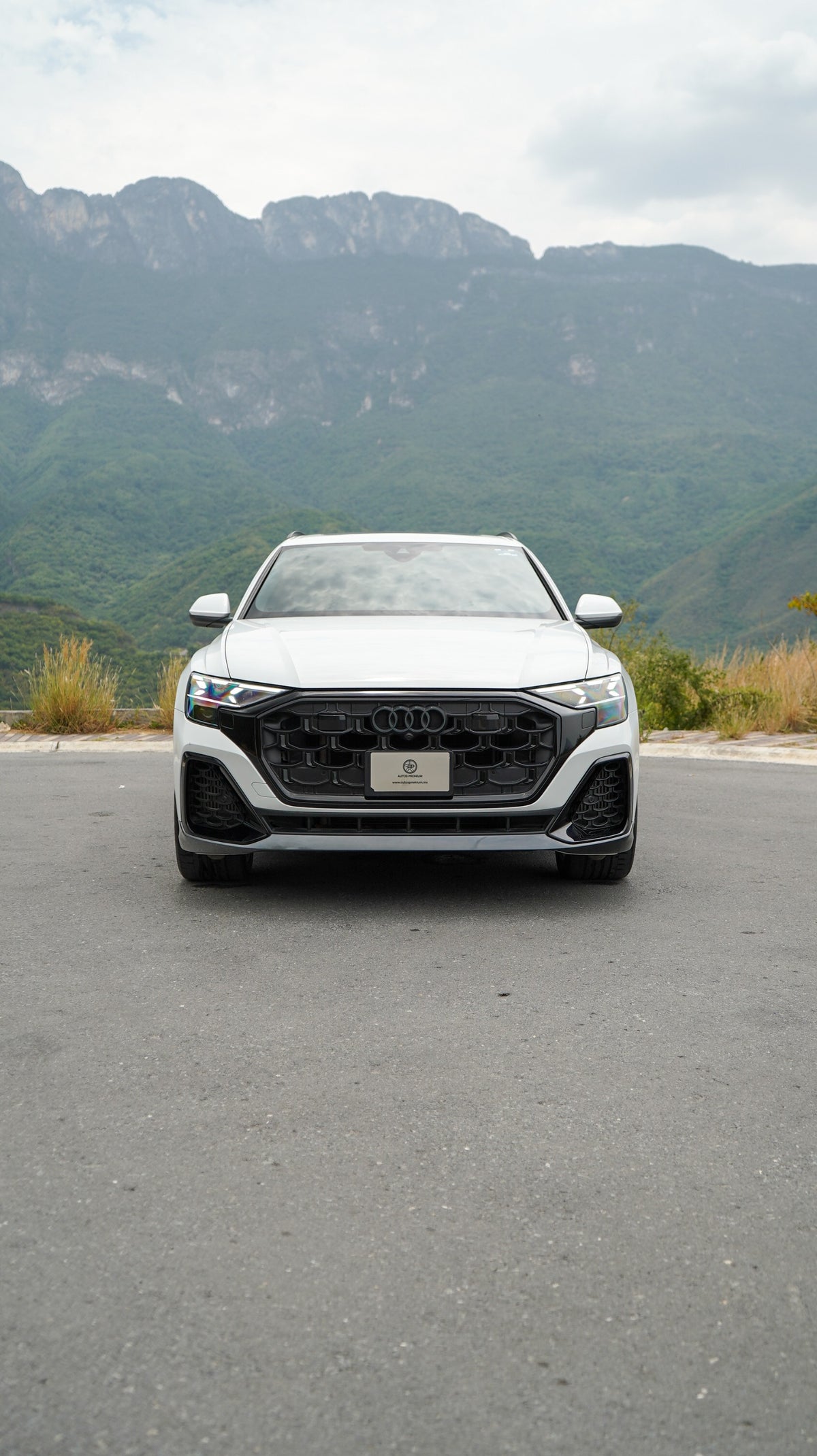Audi Q8 S line 2025