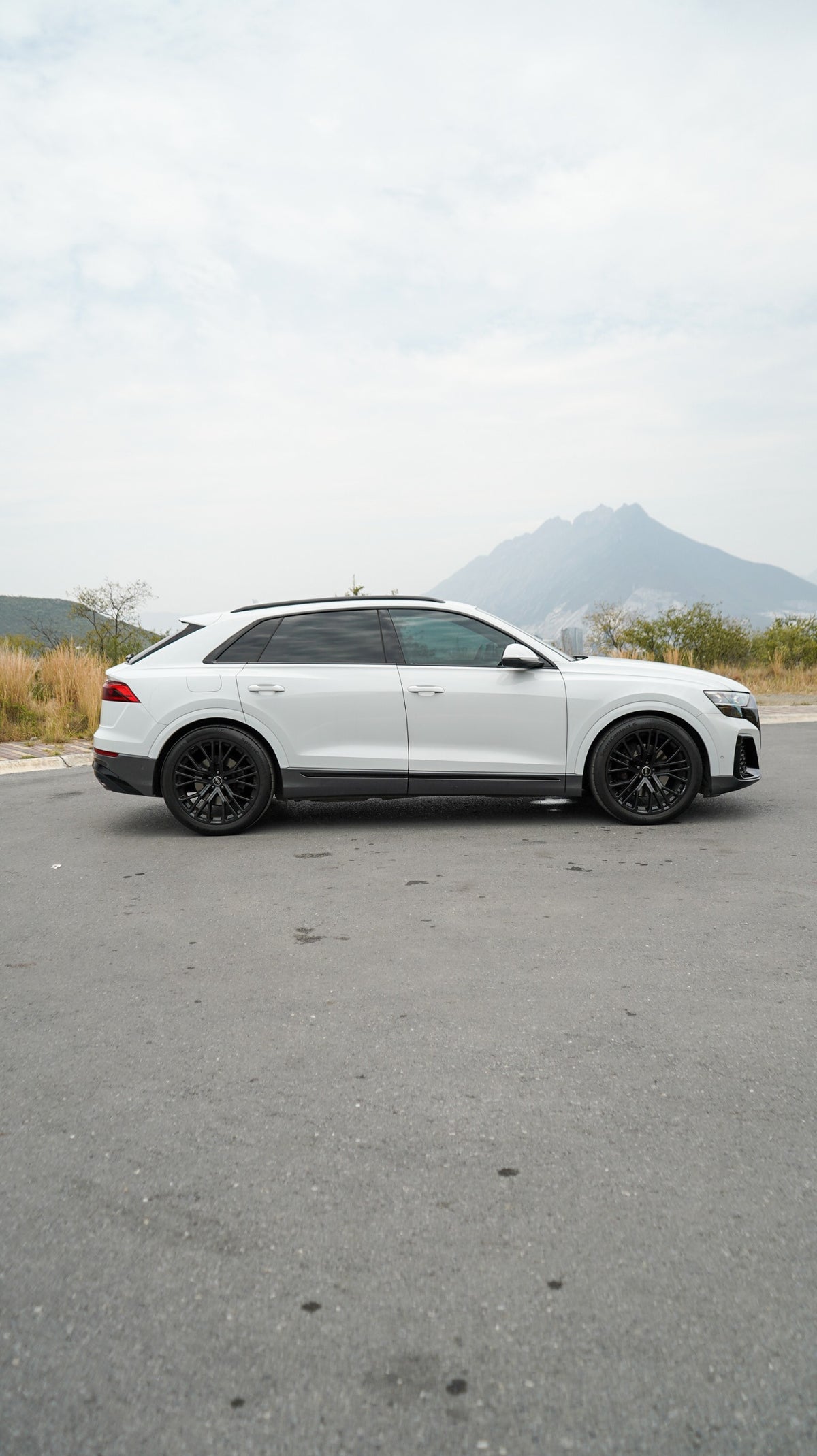 Audi Q8 S line 2025