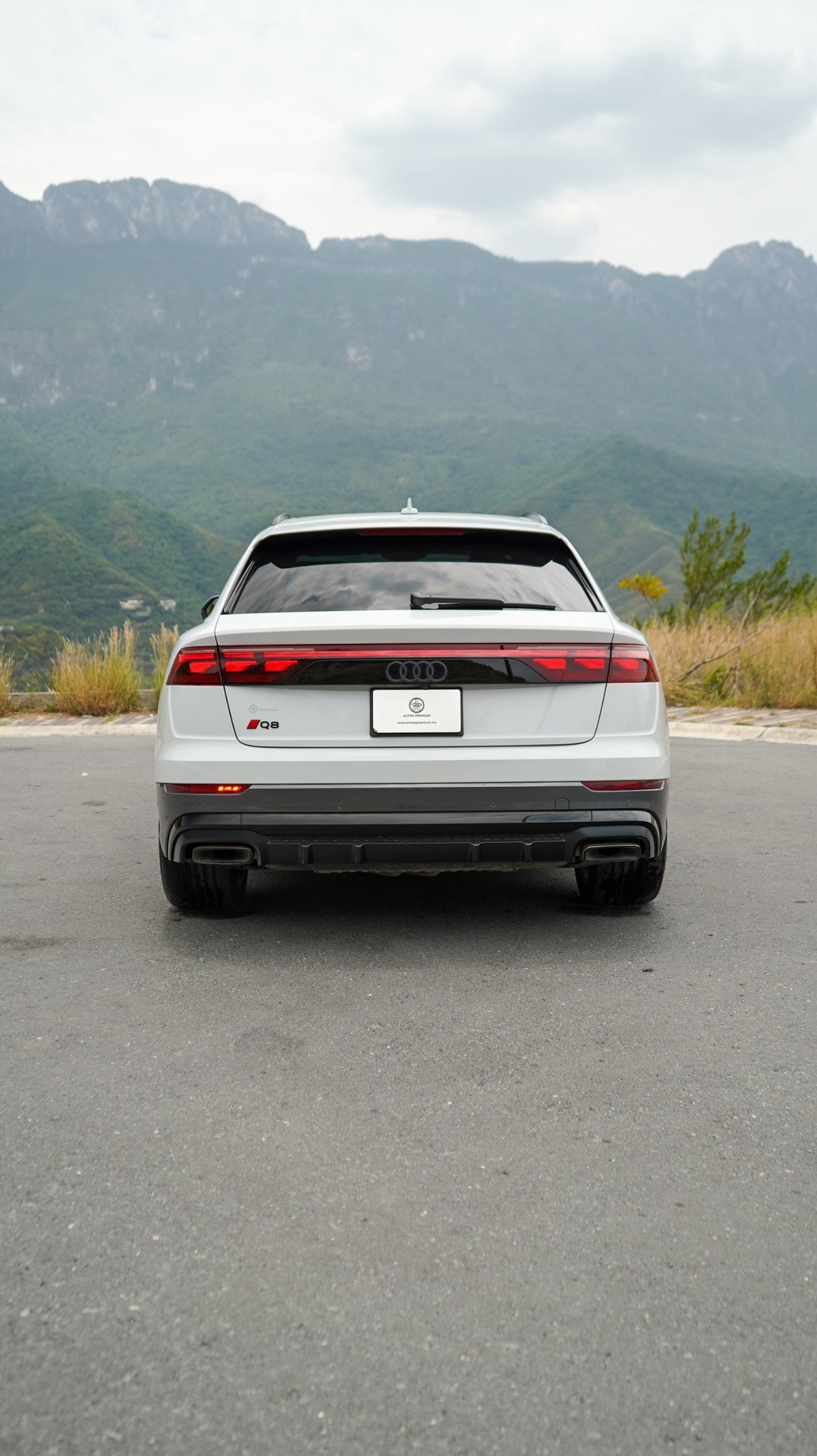 Audi Q8 S line 2025