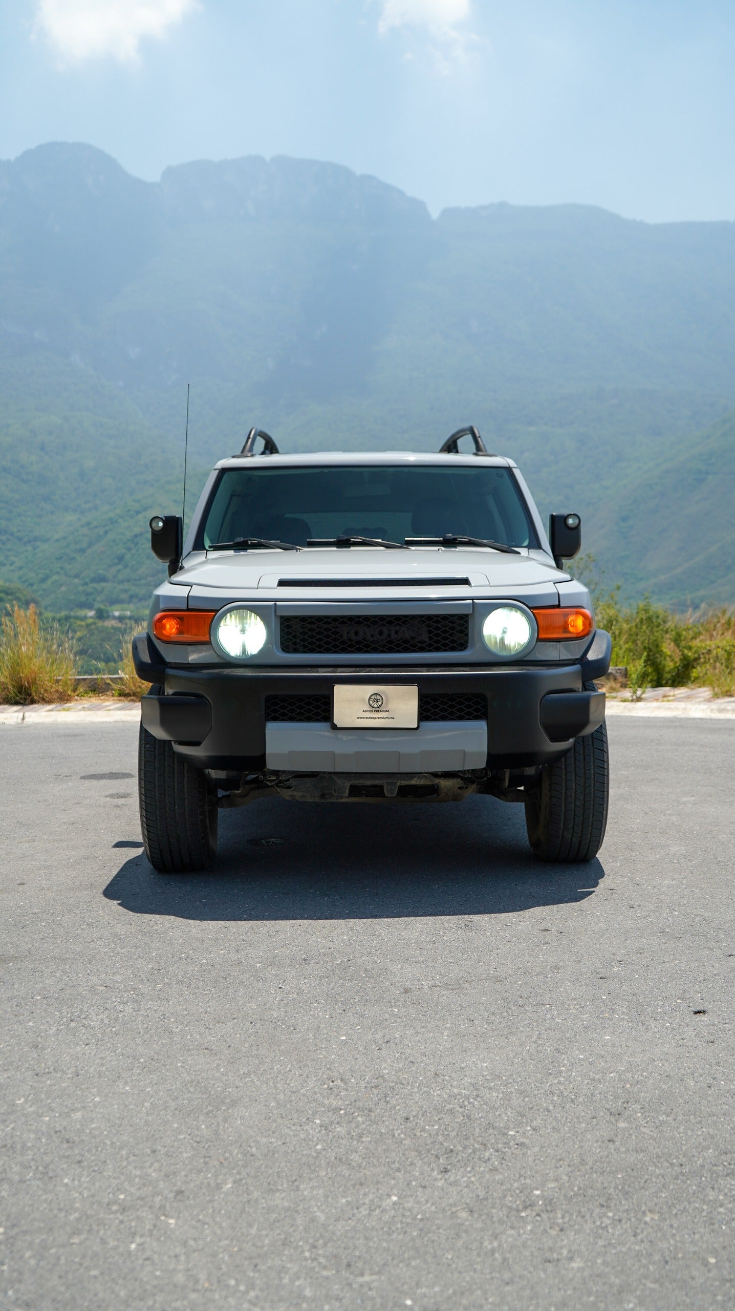 Toyota FJ Cruiser 2008