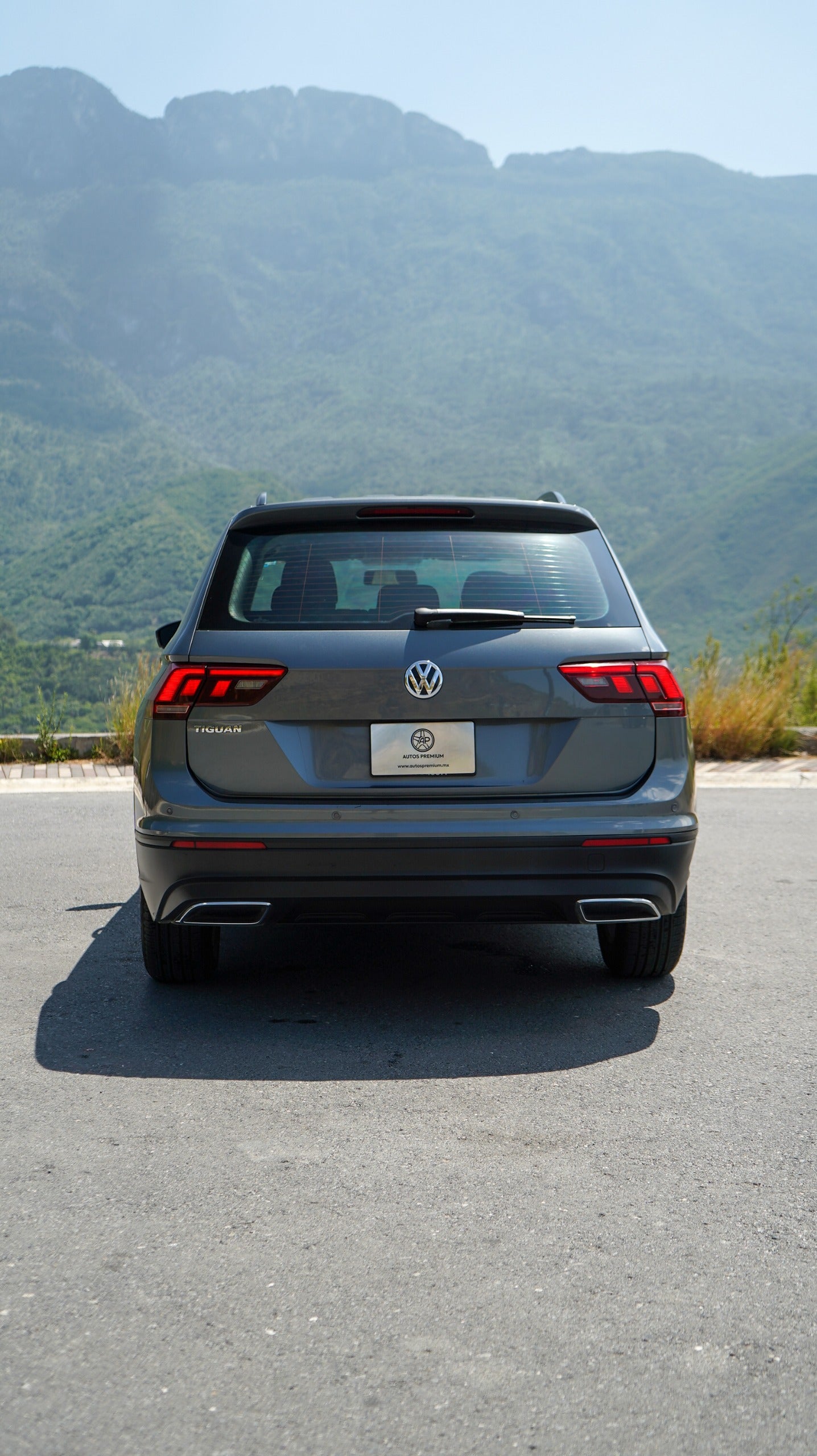 Volkswagen Tiguan Trendline Plus 2019