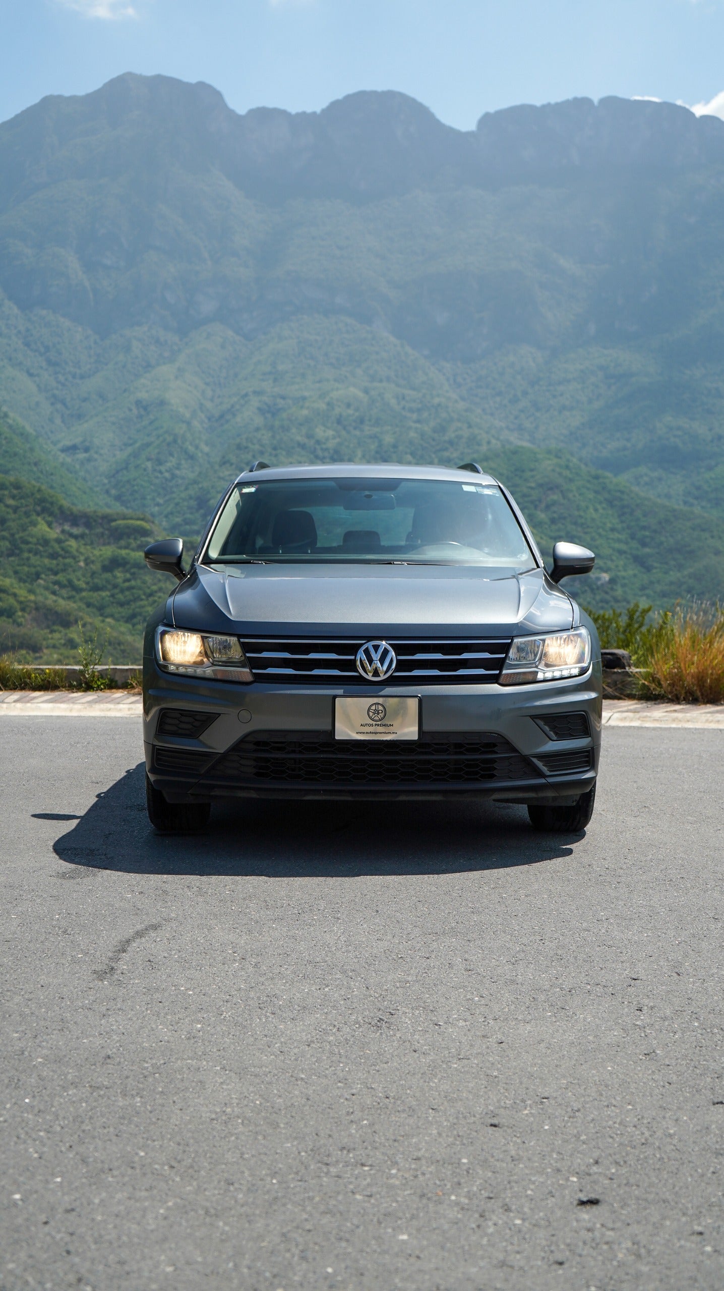 Volkswagen Tiguan Trendline Plus 2019