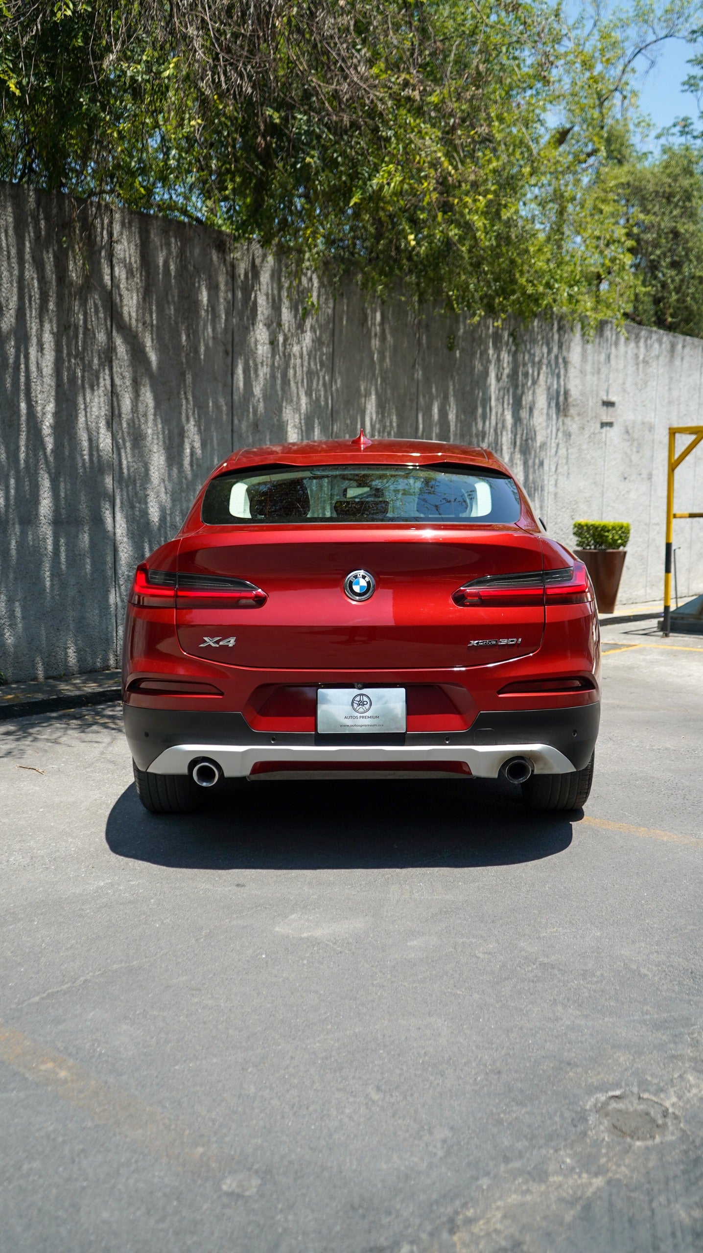 BMW X4 xDrive30i X Line 2019