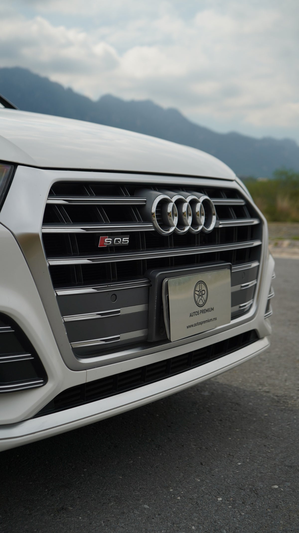 Audi SQ5 SUV 2018