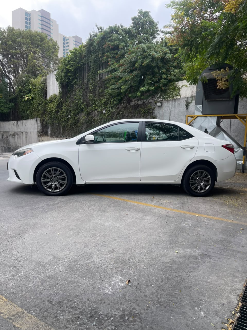 Toyota Corolla XLE 2016