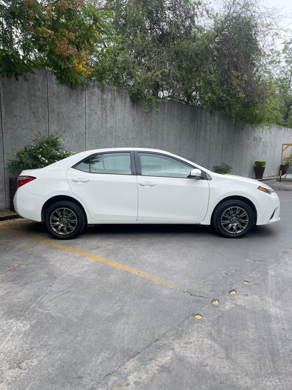 Toyota Corolla XLE 2016