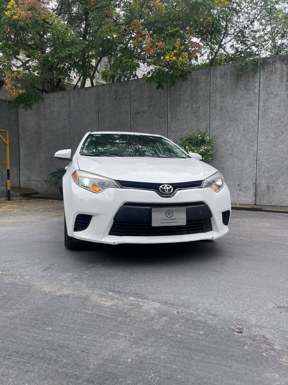 Toyota Corolla XLE 2016