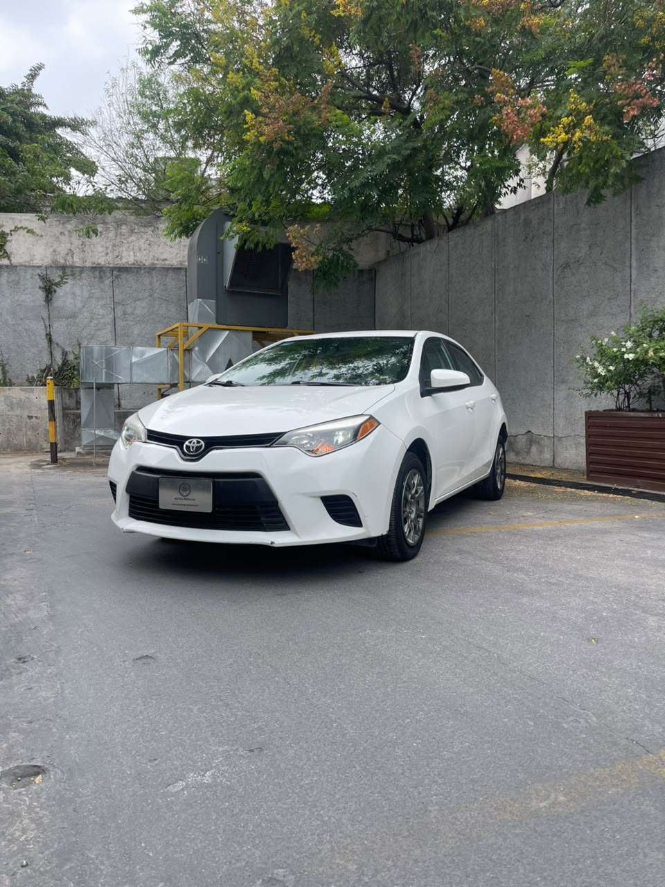 Toyota Corolla XLE 2016