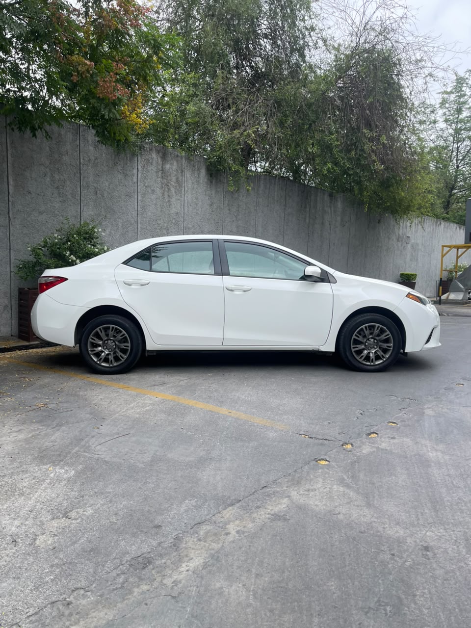 Toyota Corolla XLE 2016